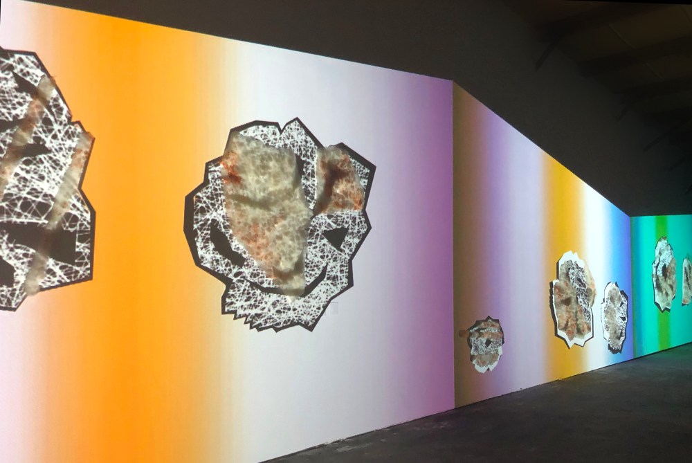 Bojana Ginn Phygital