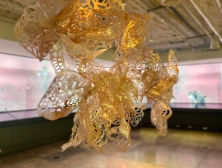 ORCHID’S DREAMS II