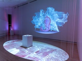 BIOMETRIC SUBLIME