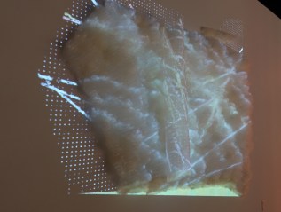 PHYGITAL MUSE